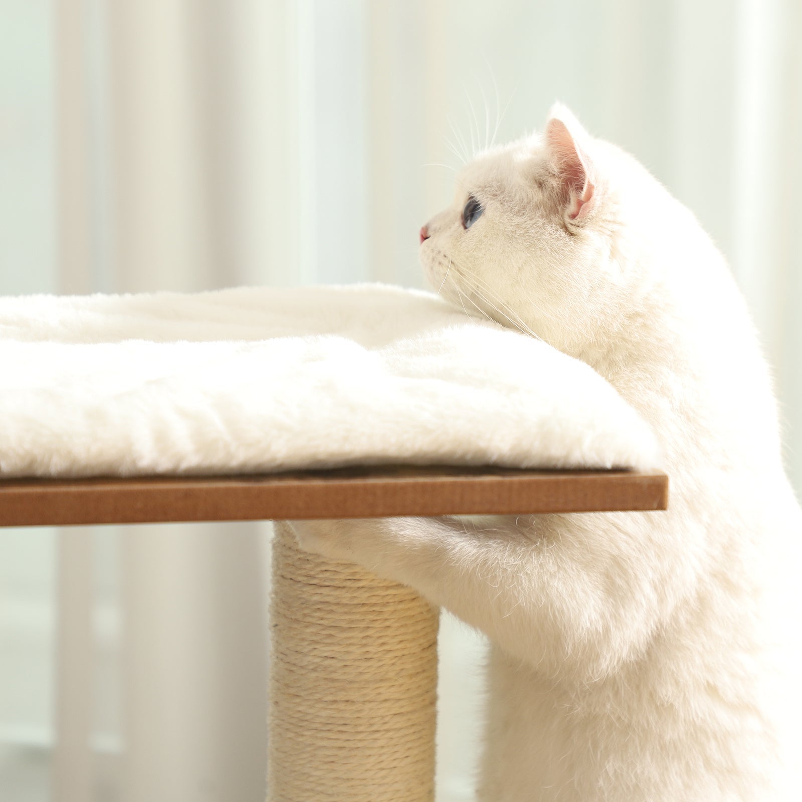 Kratzbaum Holz mit 3 Betten und Höhle