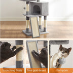 Kratzbaum Mehrstufig mit Höhle Rampe und Pom-Poms